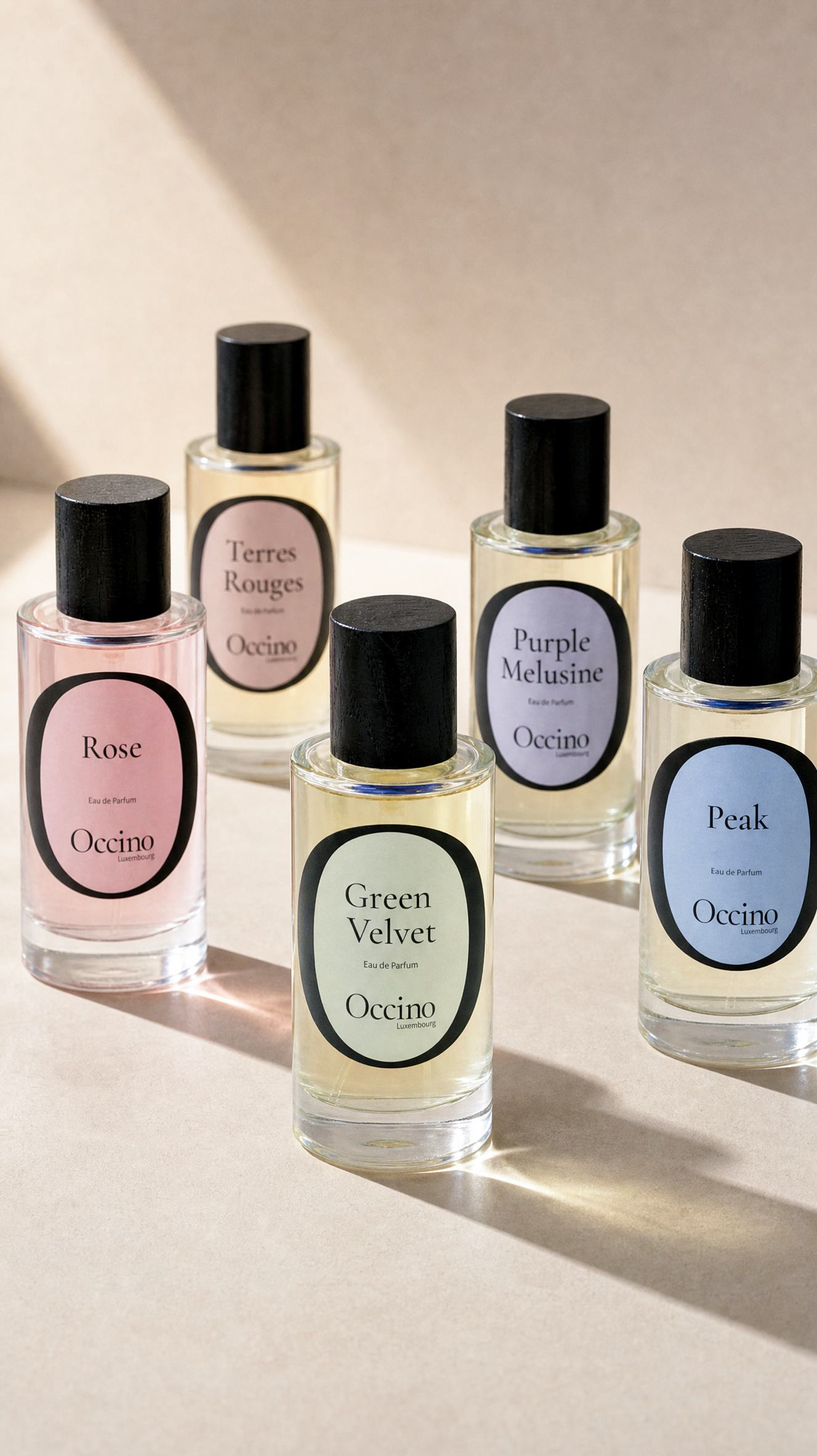OCCINO POP-UP : a new fragrance experience