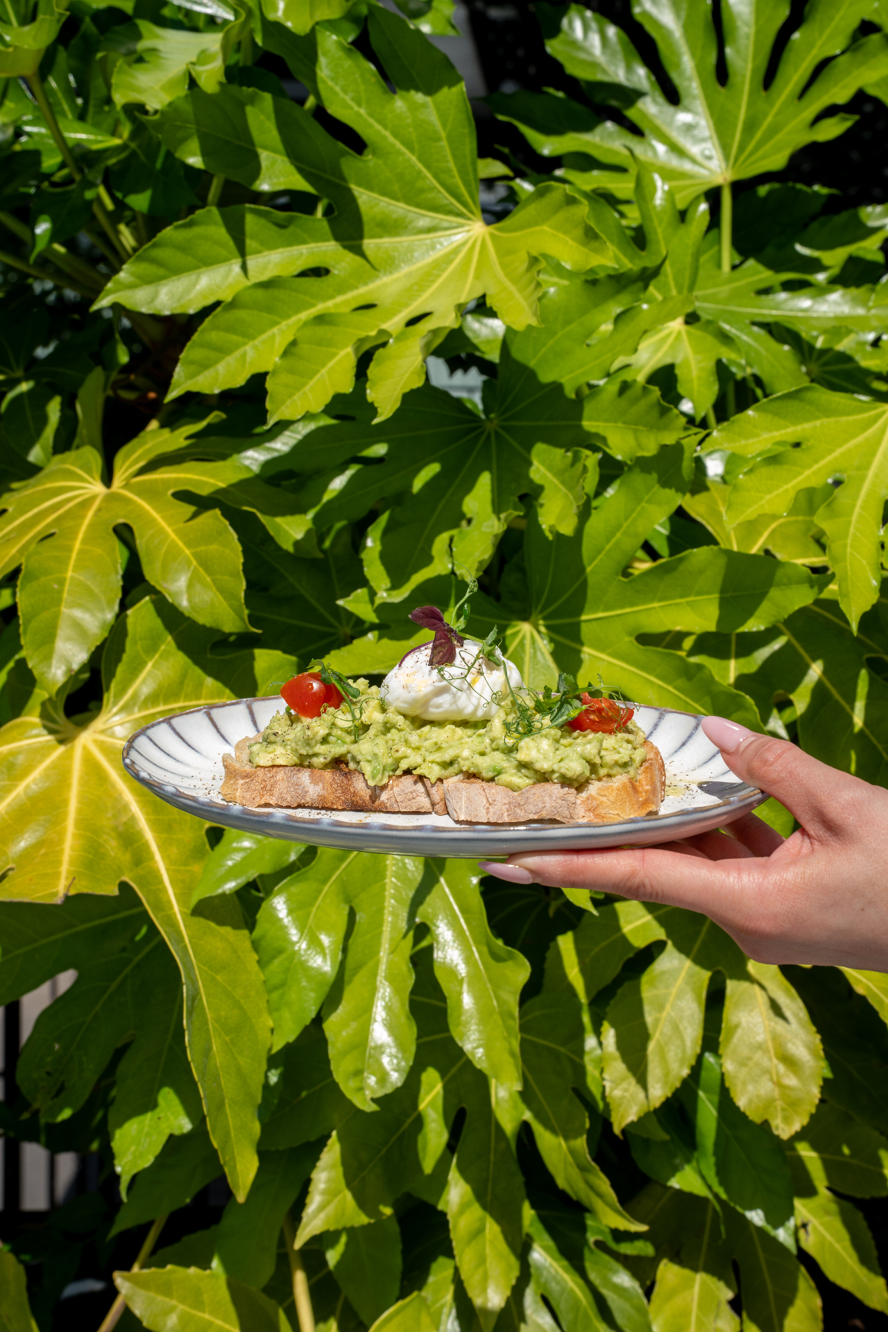 Cafe Gaia terrace plate framed by lush green leaves